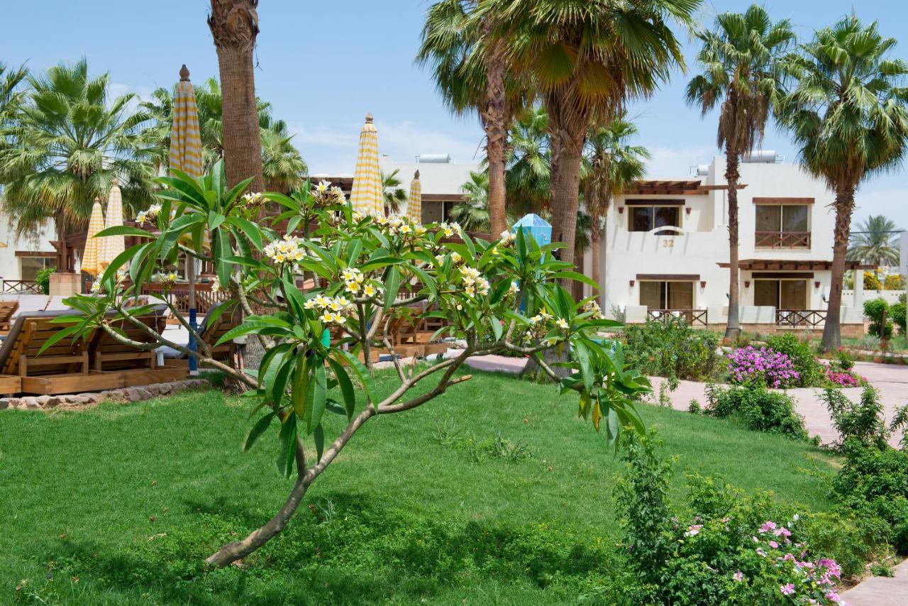 Amphoras Aqua Hotel Sharm el-Sheikh Exterior photo